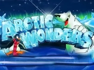 Arctic Wonders screenshot